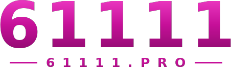 61111 logo